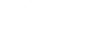 新系列